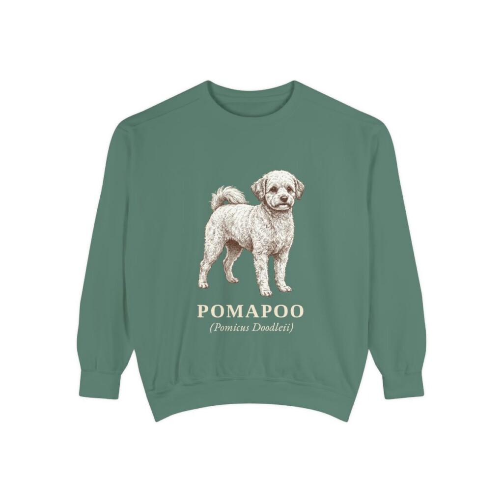 Pomapoo Latin Sweatshirt, Light Green, front view