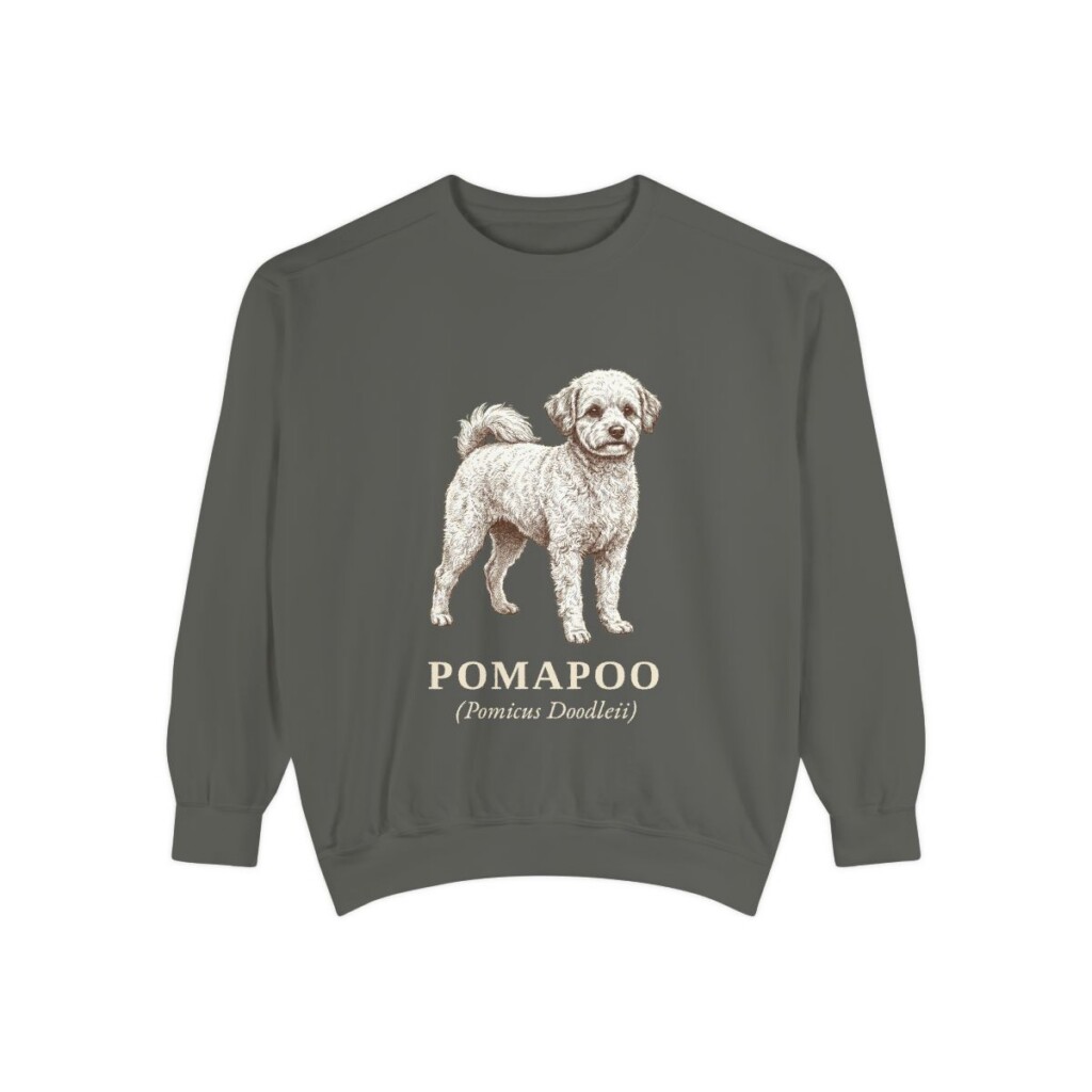 Pomapoo Latin Sweatshirt, Pepper, front view