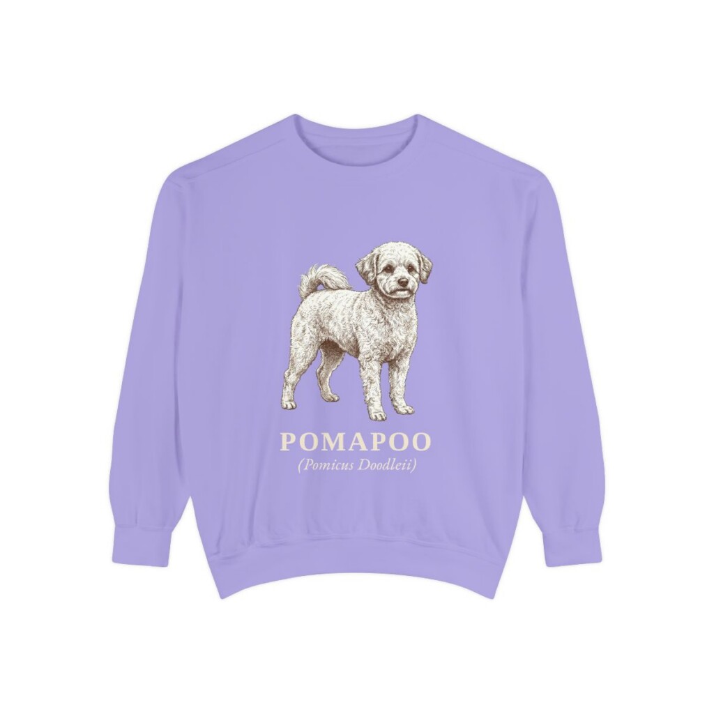 Pomapoo Latin Sweatshirt, Violet, front view
