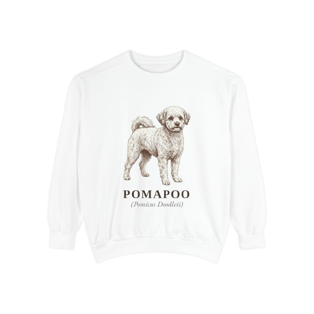 Pomapoo Latin Sweatshirt, White, front view
