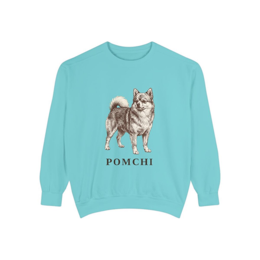 Pomchi Sweatshirt, Chalky Mint, front view