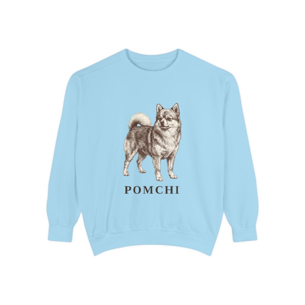 Pomchi Sweatshirt, Chambray, front view