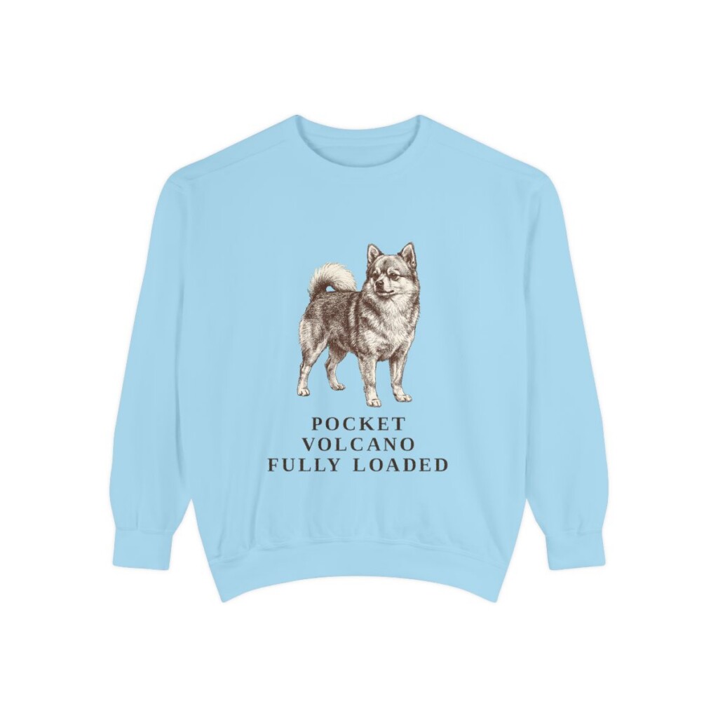 Pomchi Humor Sweatshirt, Chambray, front view