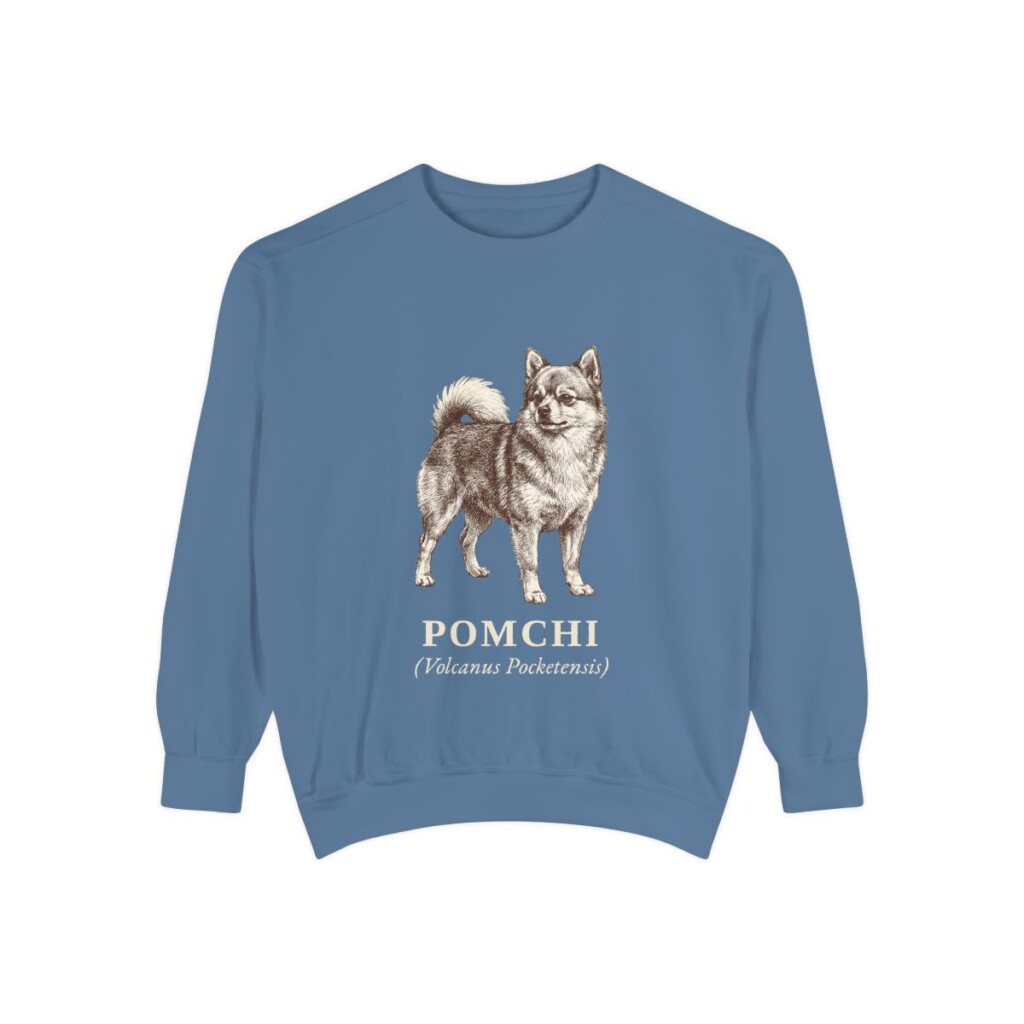 Pomchi Latin Sweatshirt, Blue Jean, front view