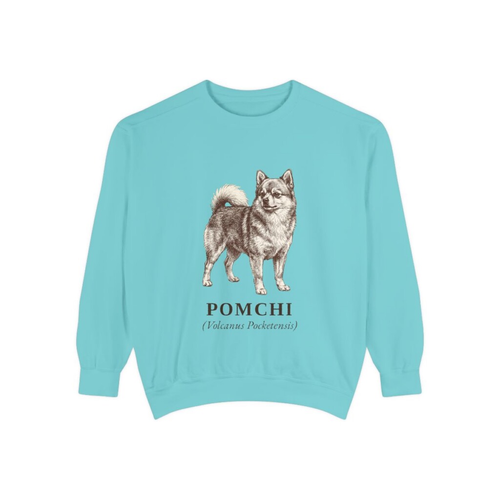 Pomchi Latin Sweatshirt, Chalky Mint, front view