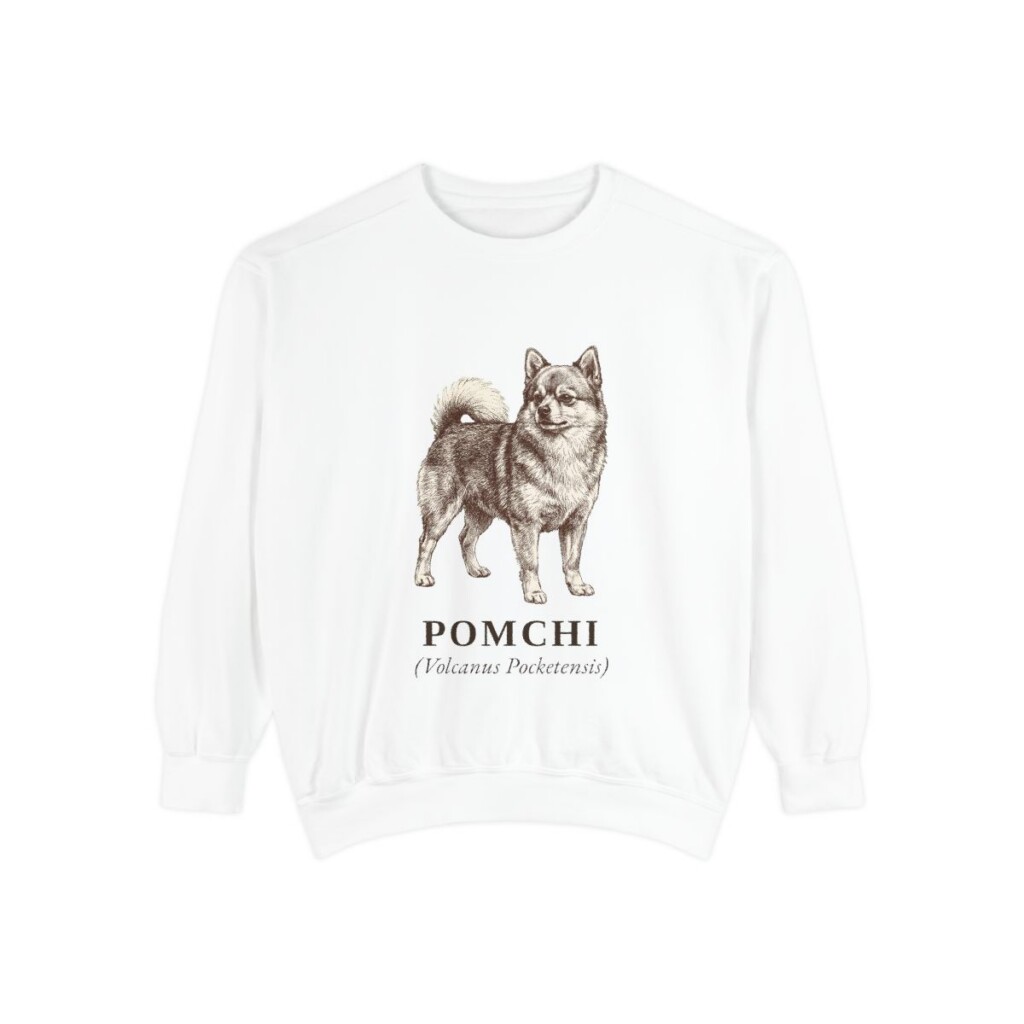 Pomchi Latin Sweatshirt, White, front view