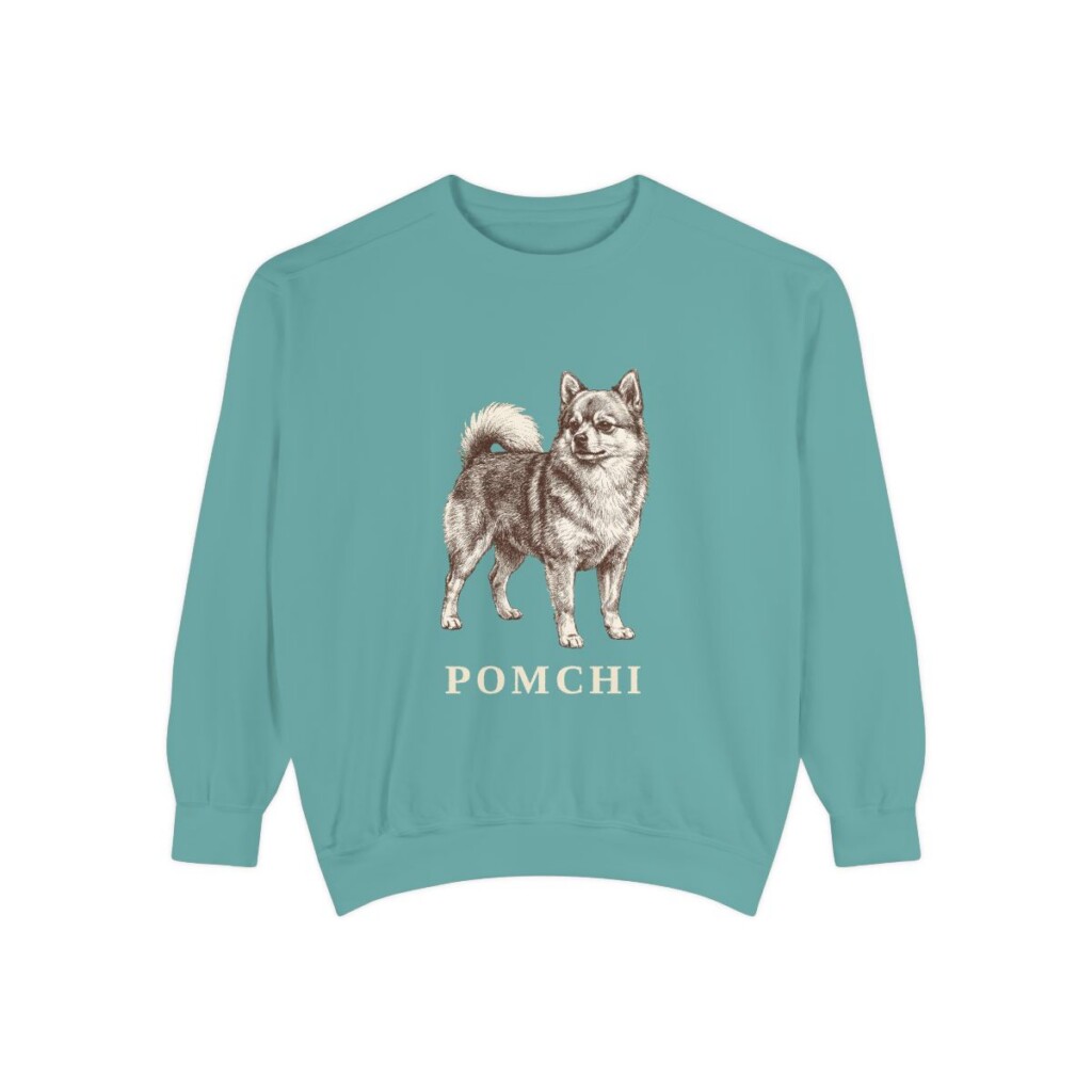 Pomchi Sweatshirt, Seafoam, front view