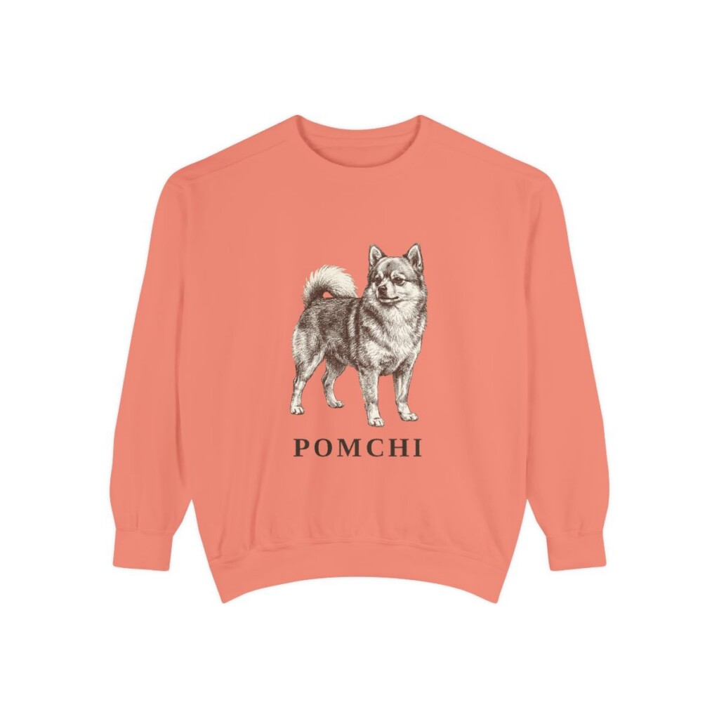 Pomchi Sweatshirt, Terracotta, front view