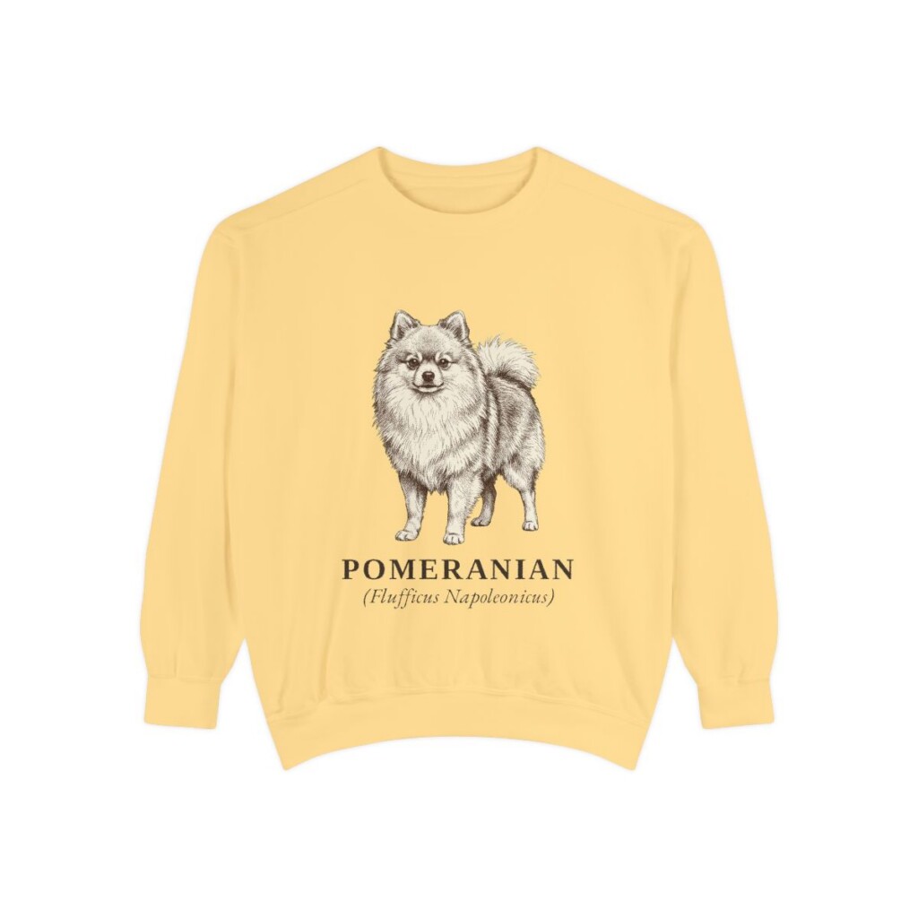 Pomeranian Latin Sweatshirt, Butter, front view