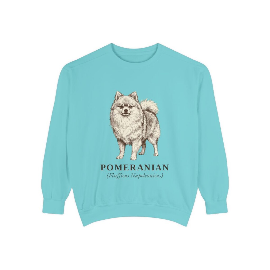 Pomeranian Latin Sweatshirt, Chalky Mint, front view