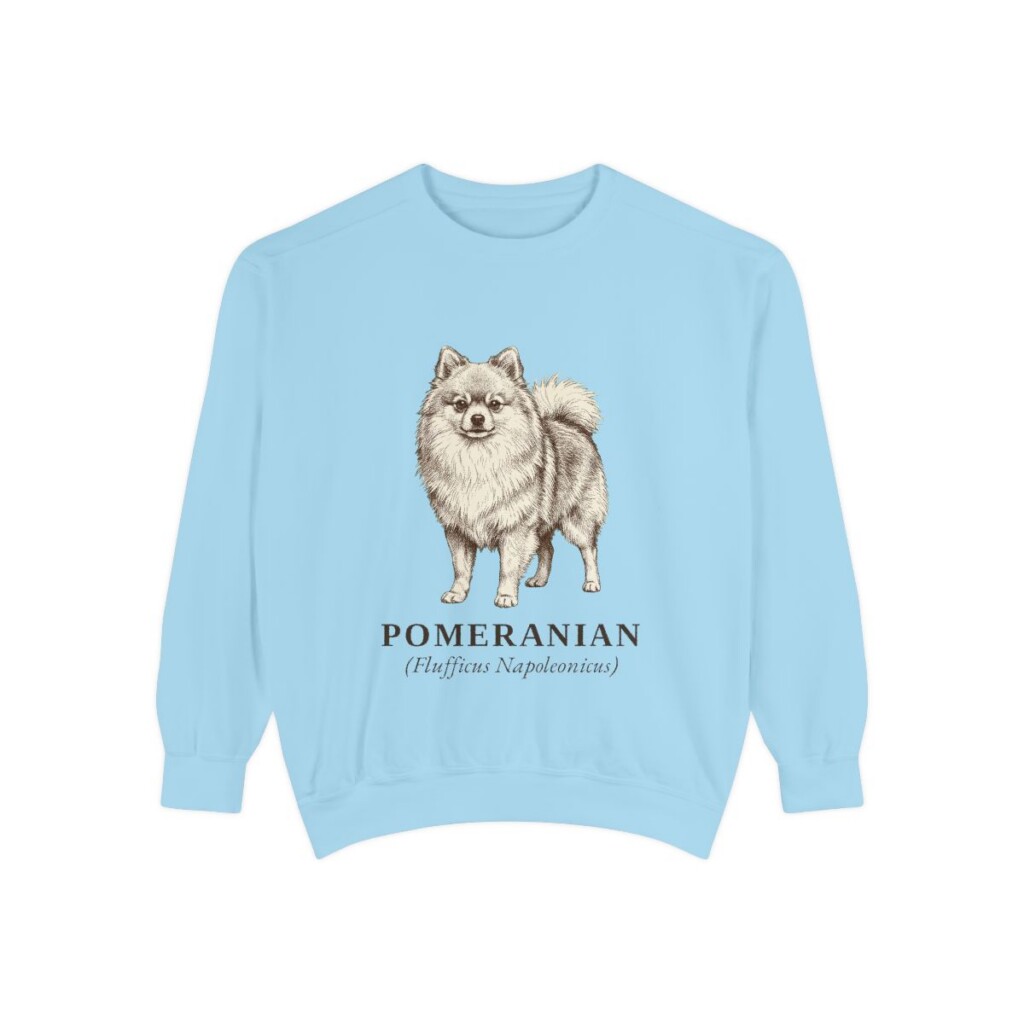 Pomeranian Latin Sweatshirt, Chambray, front view