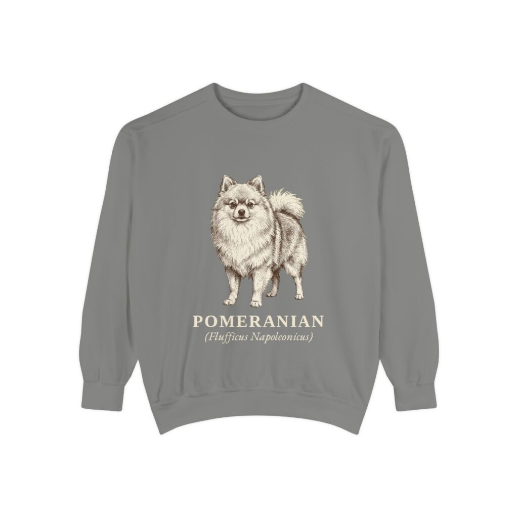 Pomeranian Latin Sweatshirt, Grey, front view