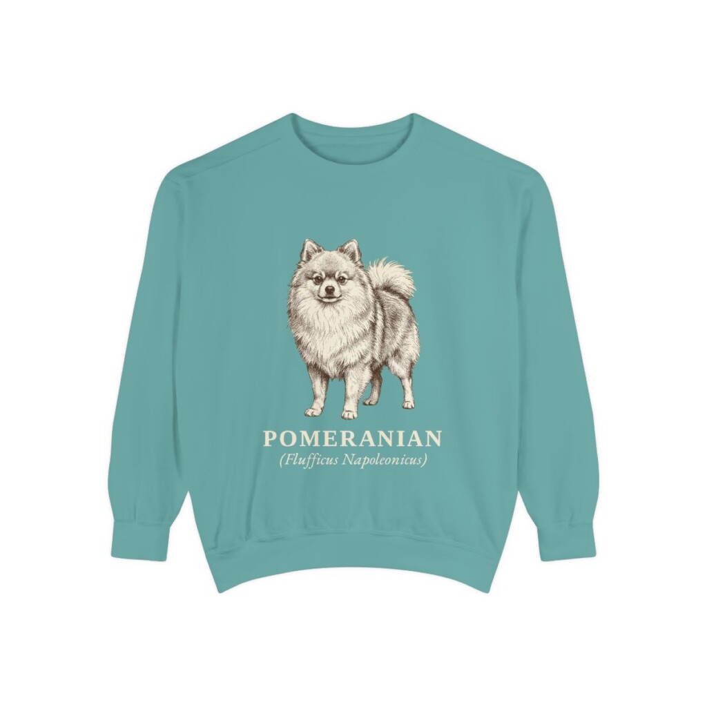 Pomeranian Latin Sweatshirt, Seafoam, front view
