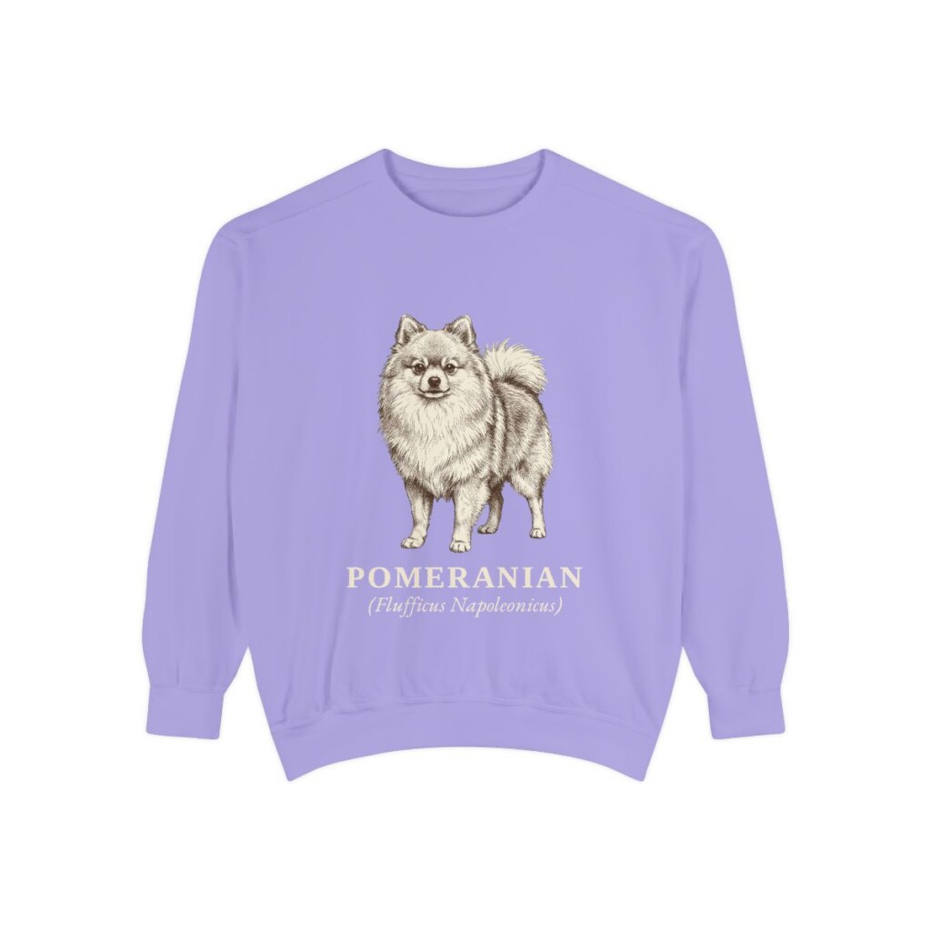 Pomeranian Latin Sweatshirt, Violet, front view