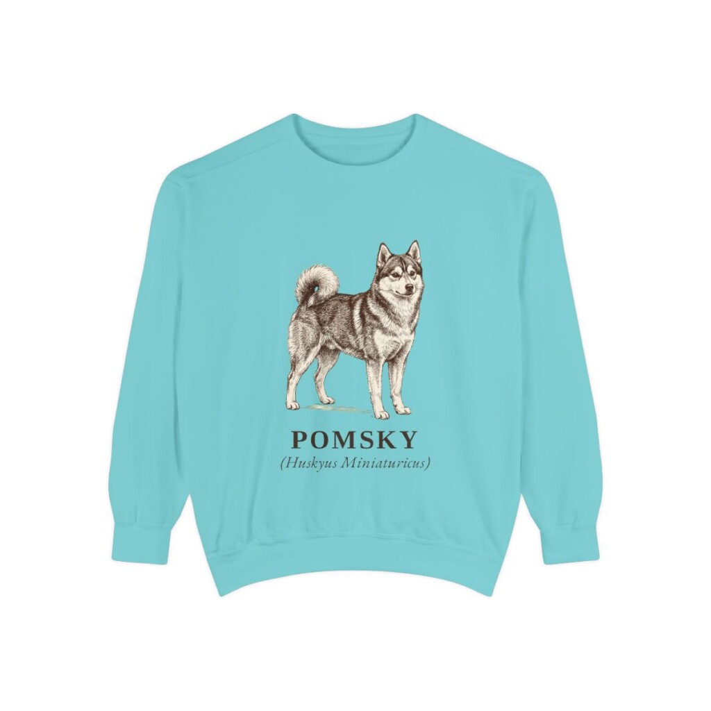 Pomsky Latin Sweatshirt, Chalky Mint, front view