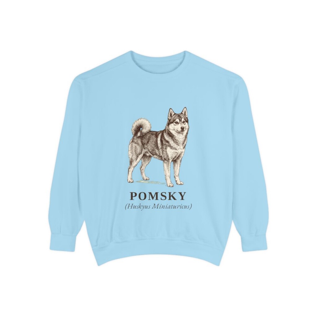 Pomsky Latin Sweatshirt, Chambray, front view