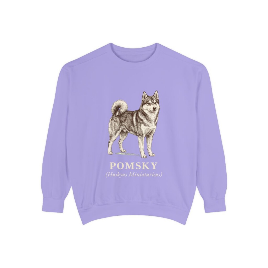 Pomsky Latin Sweatshirt, Violet, front view