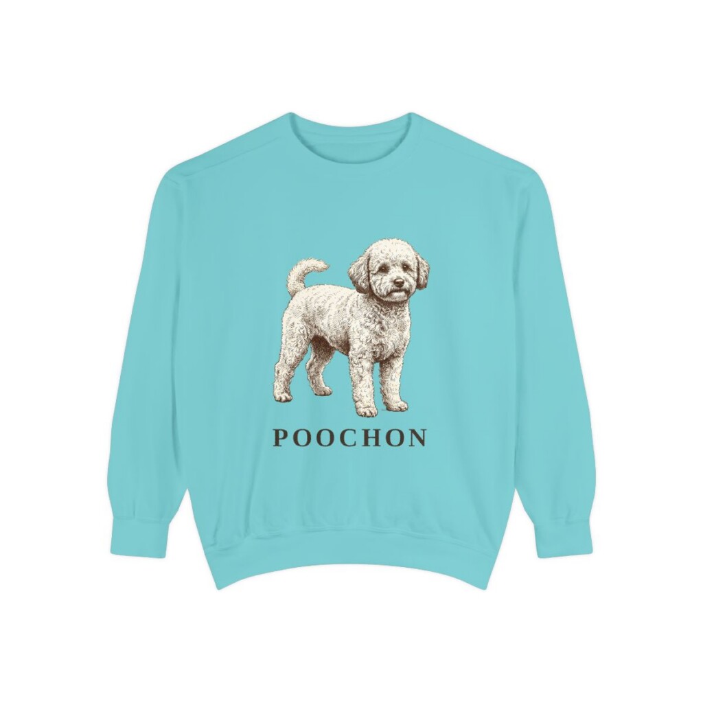 Poochon Sweatshirt, Chalky Mint, front view