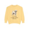 Poochon Humor Sweatshirt, Butter, front view