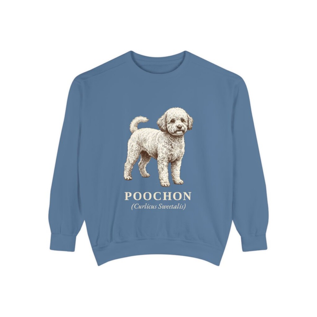 Poochon Latin Sweatshirt, Blue Jean, front view