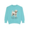 Poochon Latin Sweatshirt, Chalky Mint, front view