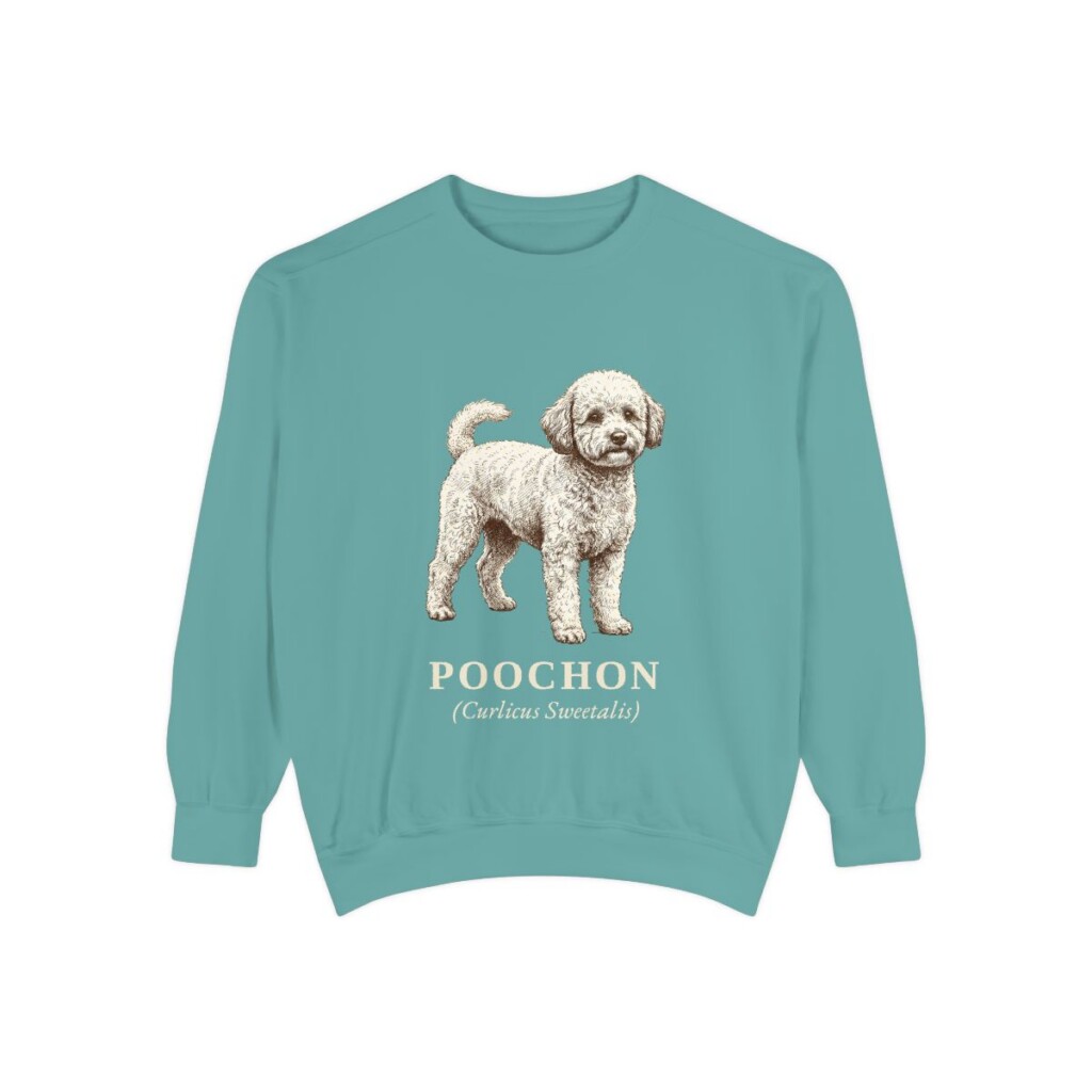 Poochon Latin Sweatshirt, Seafoam, front view