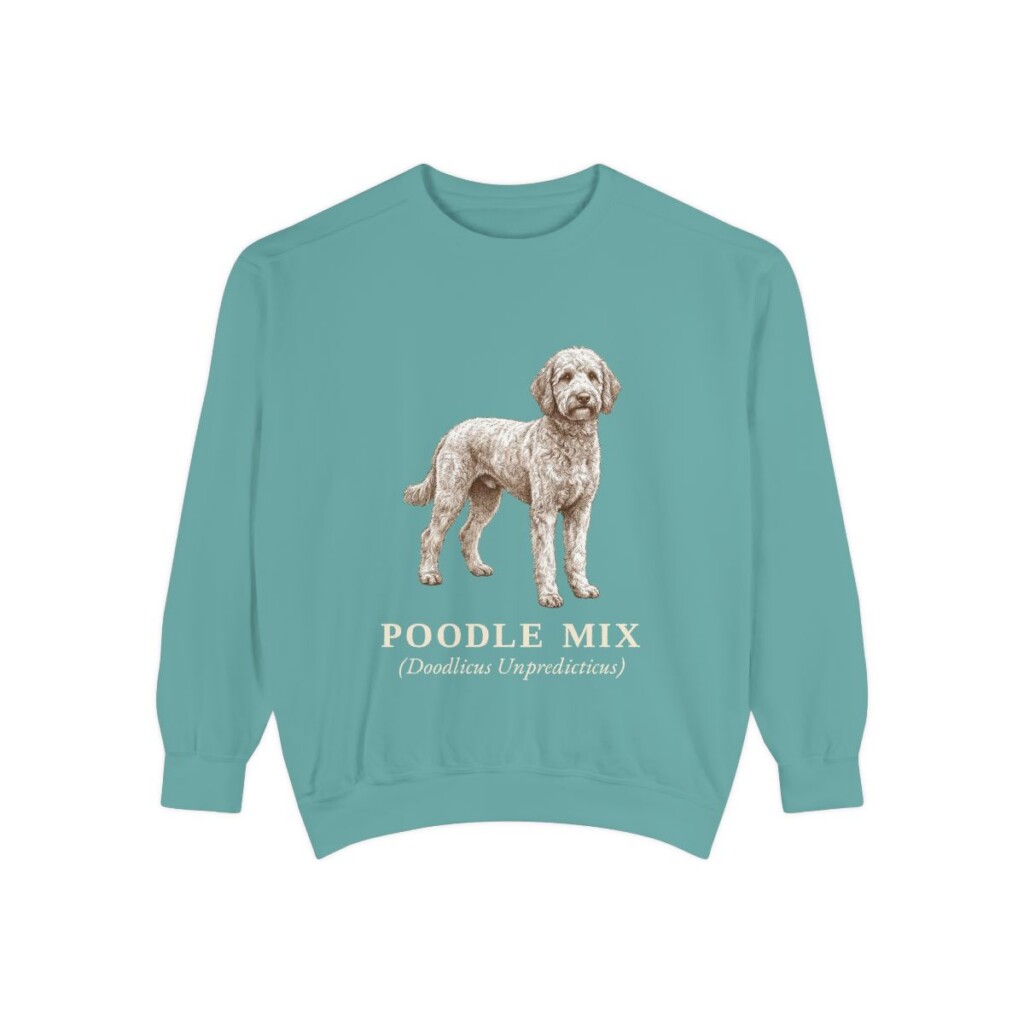 Poodle Mix Latin Sweatshirt, Seafoam, front view
