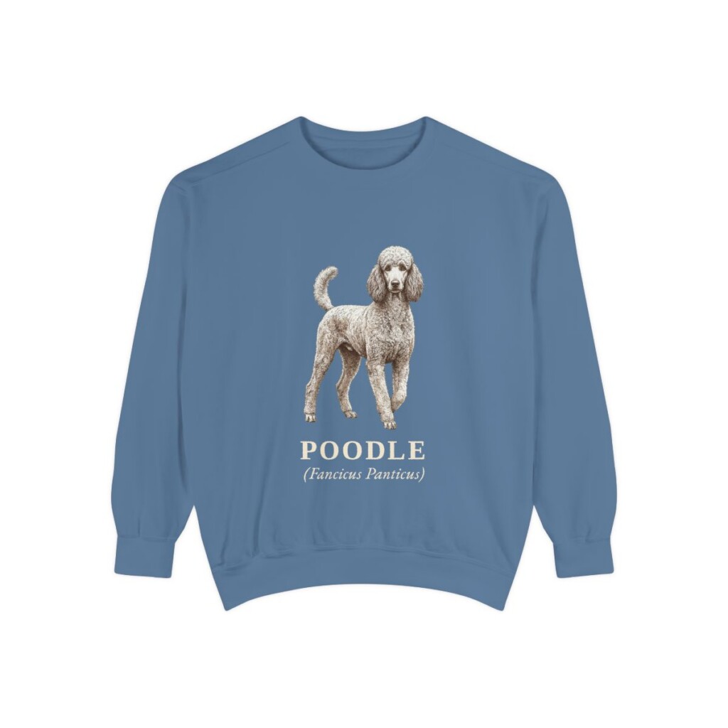 Poodle Latin Sweatshirt, Blue Jean, front view