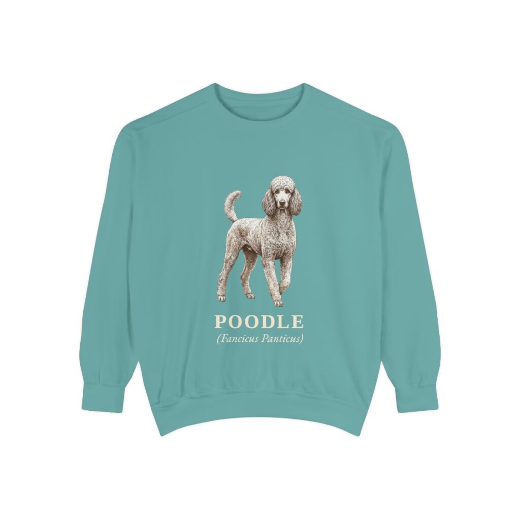Poodle Latin Sweatshirt, Seafoam, front view