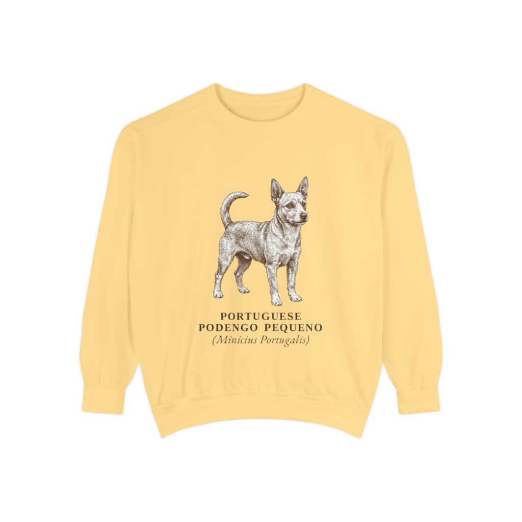 Portuguese Podengo Pequeno Latin Sweatshirt, Butter, front view