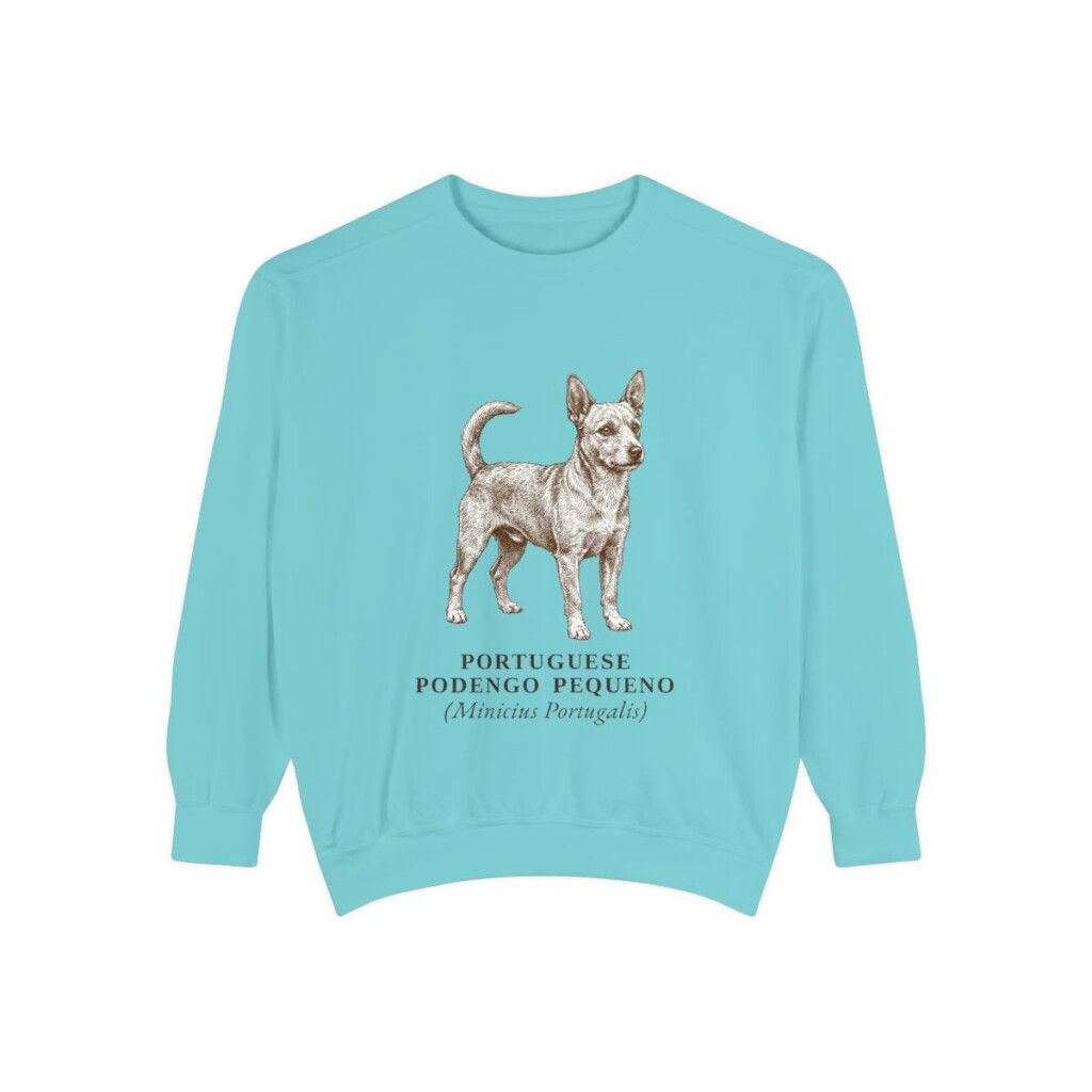 Portuguese Podengo Pequeno Latin Sweatshirt, Chalky Mint, front view