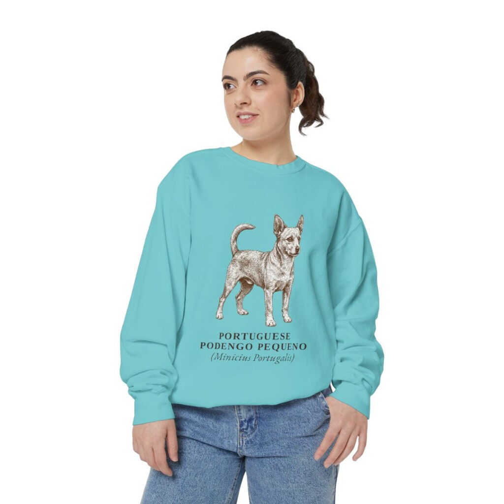 Portuguese Podengo Pequeno Latin Sweatshirt, Chalky Mint, person 2 front