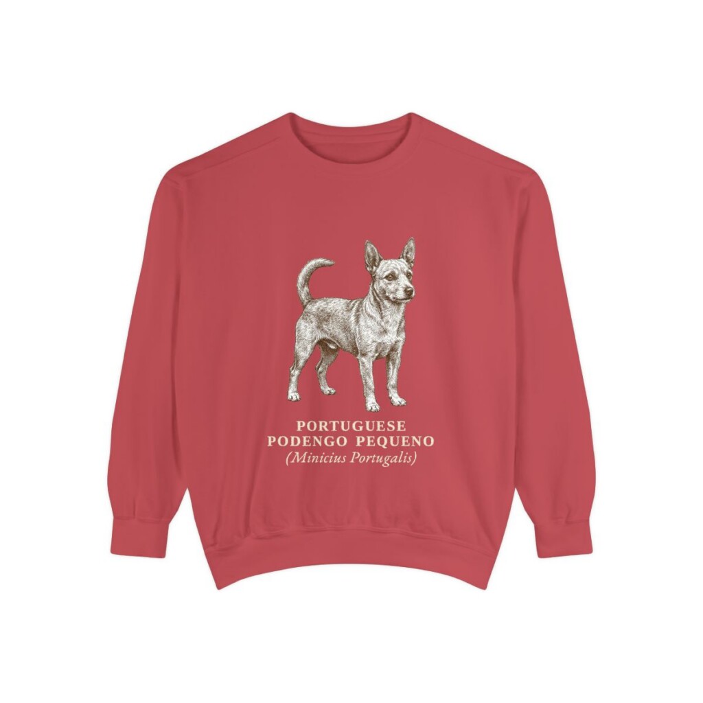Portuguese Podengo Pequeno Latin Sweatshirt, Crimson, front view