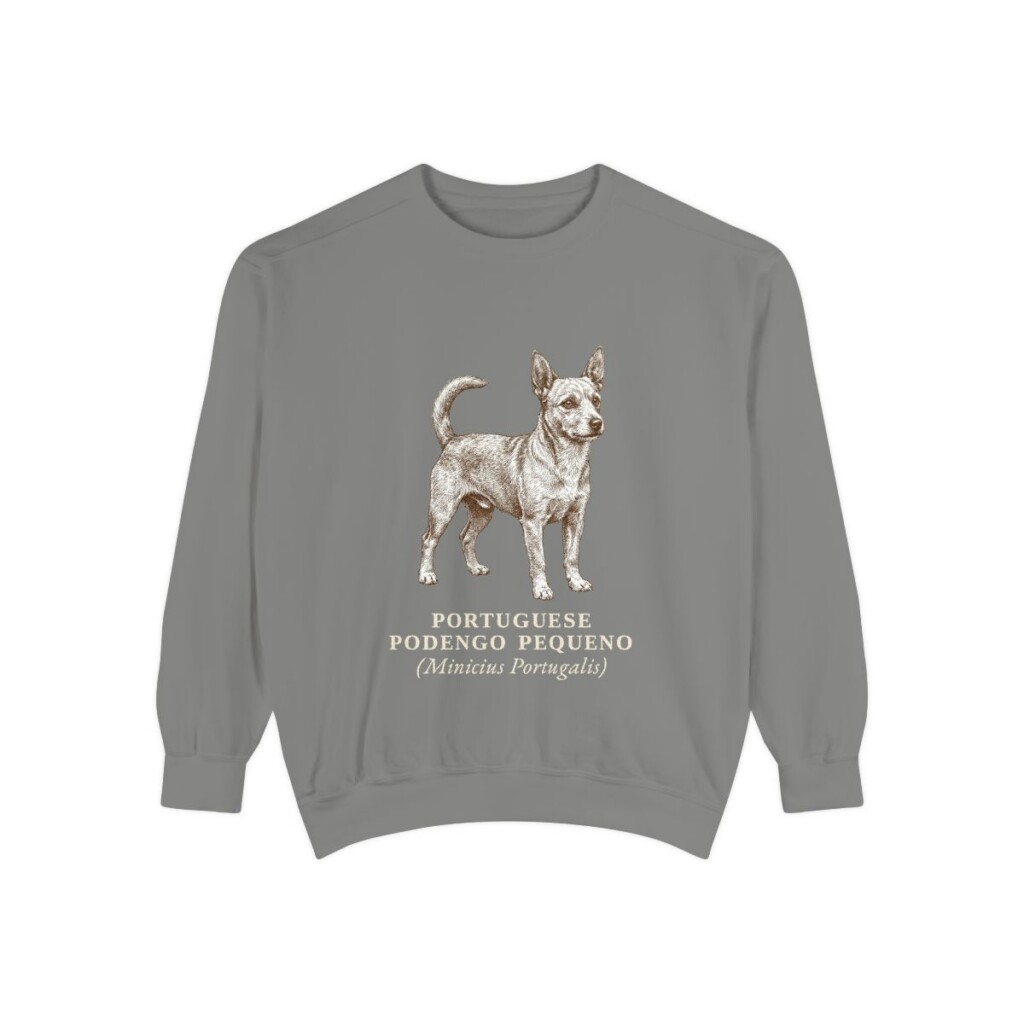 Portuguese Podengo Pequeno Latin Sweatshirt, Grey, front view