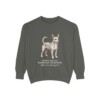 Portuguese Podengo Pequeno Latin Sweatshirt, Pepper, front view