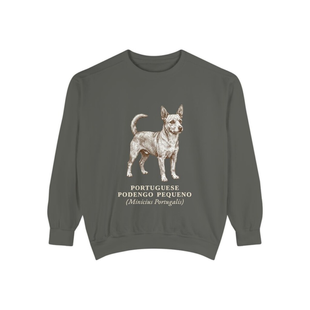 Portuguese Podengo Pequeno Latin Sweatshirt, Pepper, front view