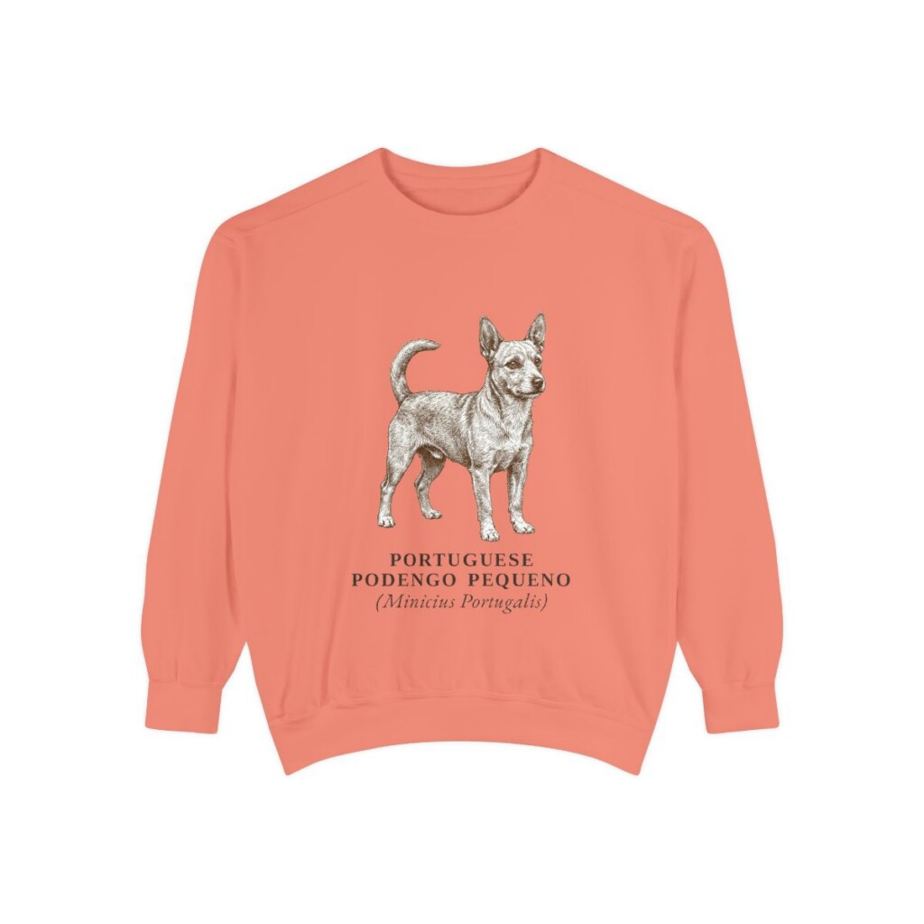 Portuguese Podengo Pequeno Latin Sweatshirt, Terracotta, front view