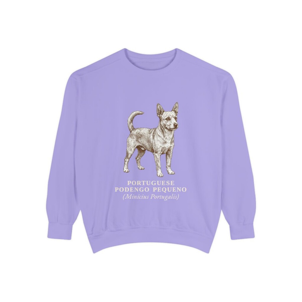 Portuguese Podengo Pequeno Latin Sweatshirt, Violet, front view