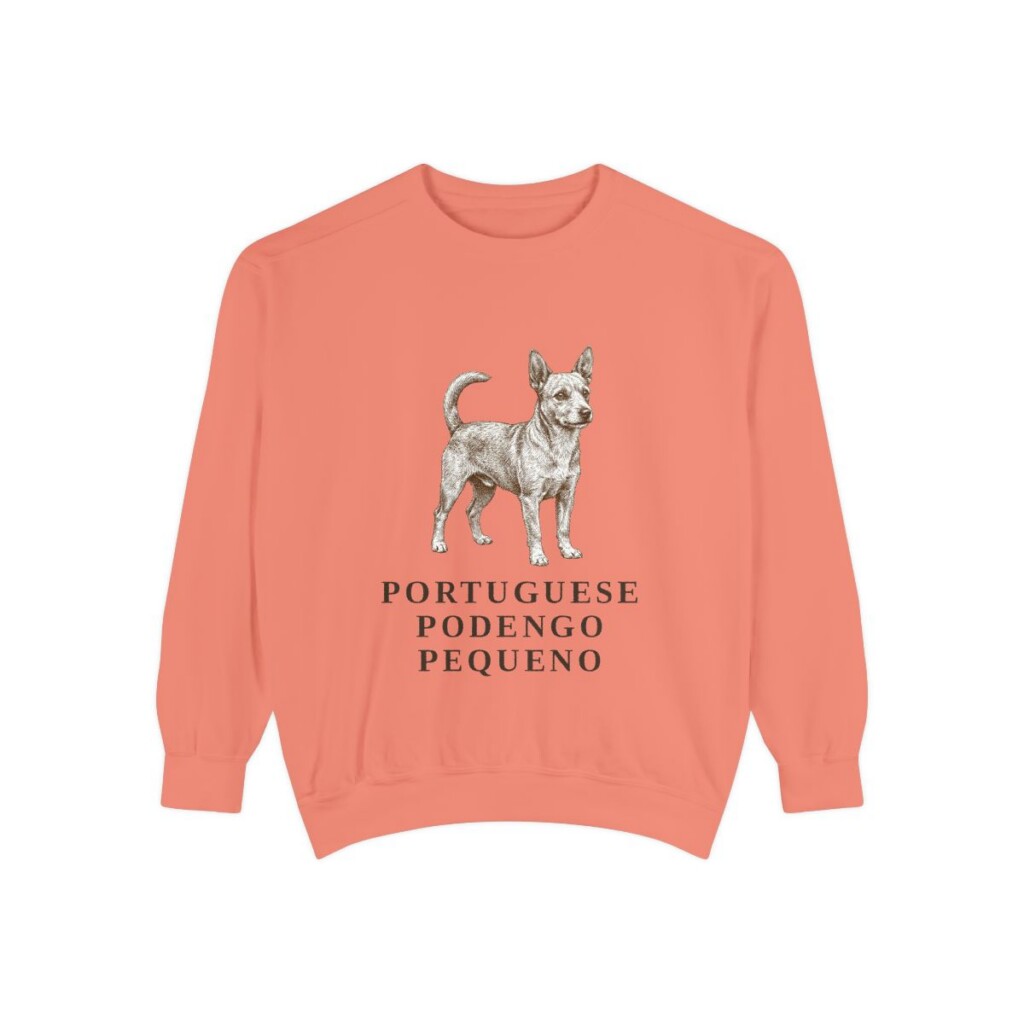 portuguese-podengo-pequeno-sweatshirt-terracotta Portuguese Podengo Pequeno Sweatshirt, Terracotta, front view