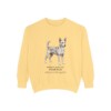 Portuguese Podengo Latin Sweatshirt, Butter, front view