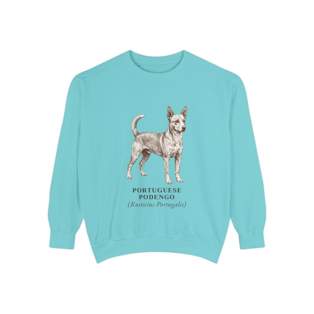 Portuguese Podengo Latin Sweatshirt, Chalky Mint, front view
