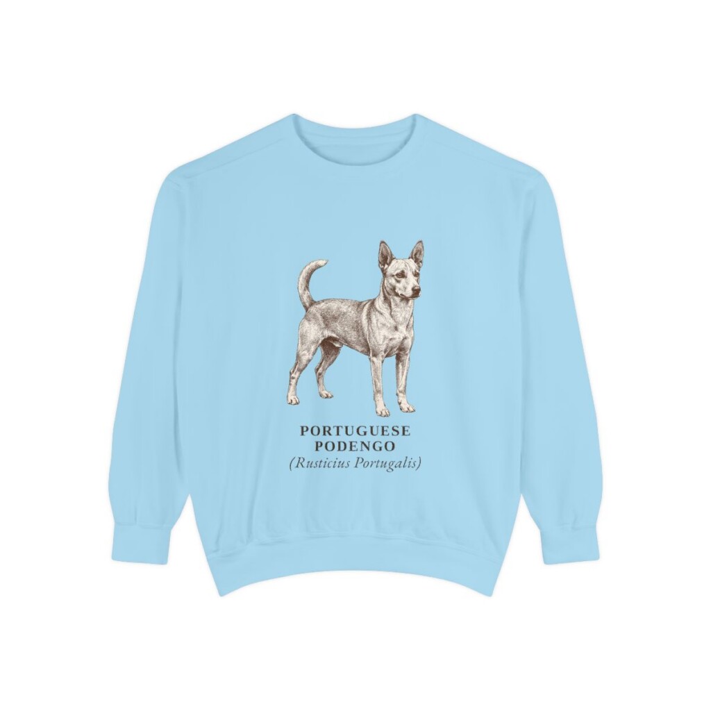 Portuguese Podengo Latin Sweatshirt, Chambray, front view