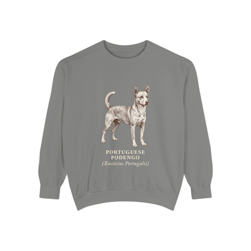 Portuguese Podengo Latin Sweatshirt, Grey, front view