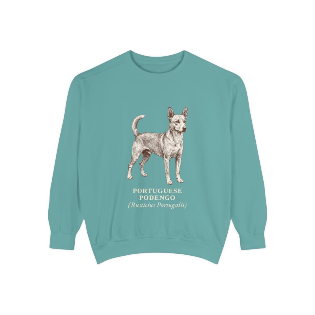Portuguese Podengo Latin Sweatshirt, Seafoam, front view