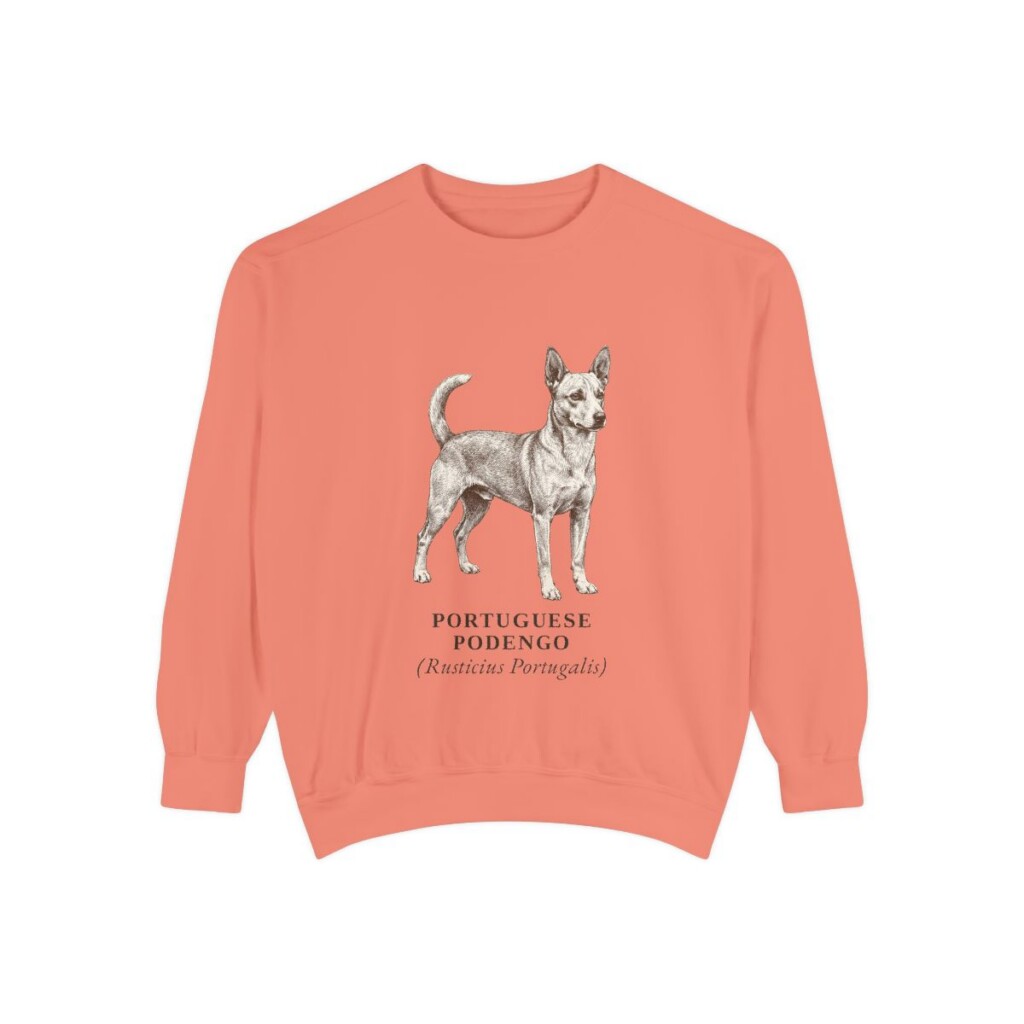 Portuguese Podengo Latin Sweatshirt, Terracotta, front view