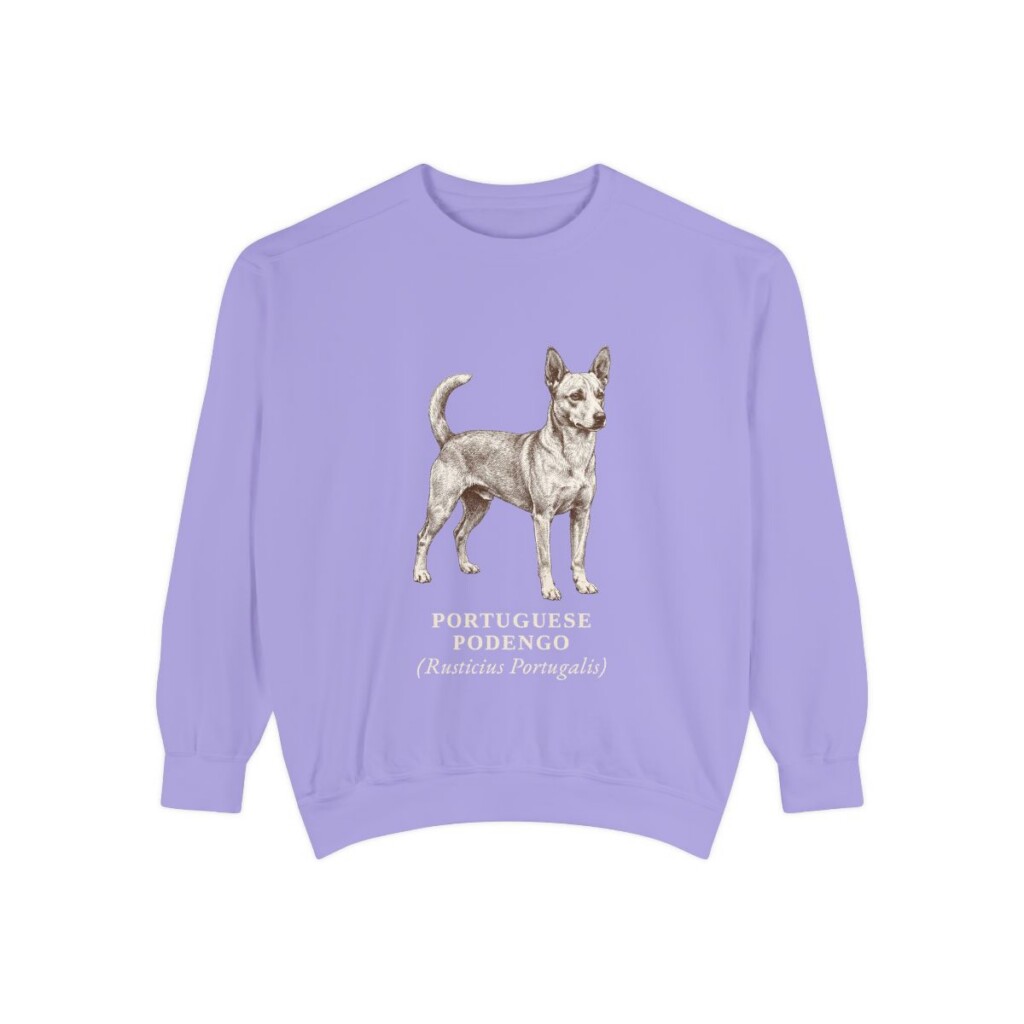Portuguese Podengo Latin Sweatshirt, Violet, front view