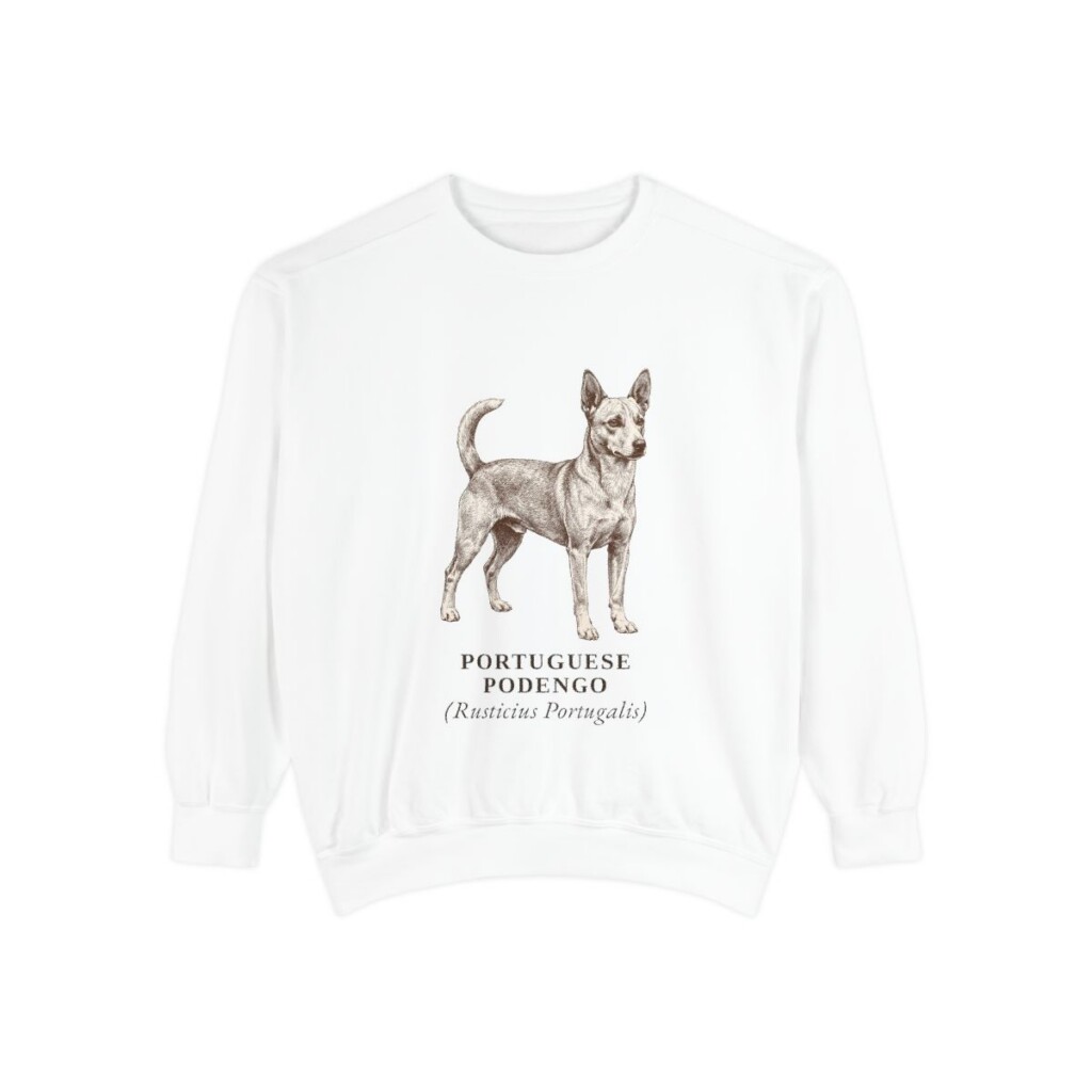 Portuguese Podengo Latin Sweatshirt, White, front view