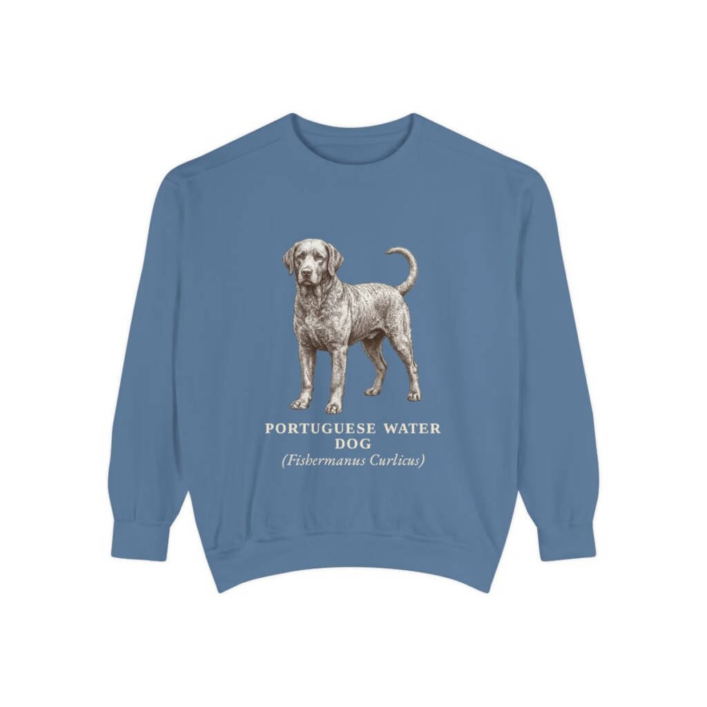 Portuguese Water Dog Latin Sweatshirt, Blue Jean, front view
