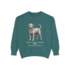 Portuguese Water Dog Latin Sweatshirt, Blue Spruce, front view