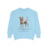 Portuguese Water Dog Latin Sweatshirt, Chambray, front view